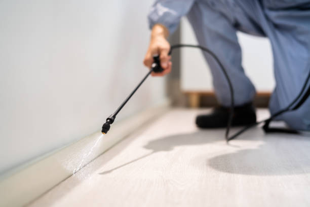 Licensed Fumigation Services service in Dallas County County, MO - Nex Pest Control